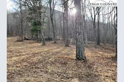 Tbd McNeill Road, Lansing, NC 28643 - Photo 5