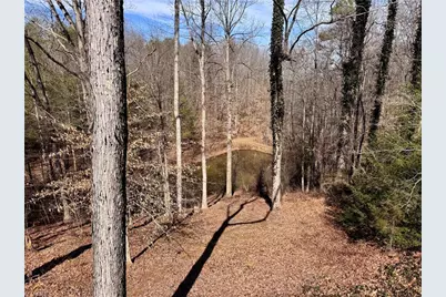 4681 Rockford Road, Dobson, NC 27017 - Photo 33