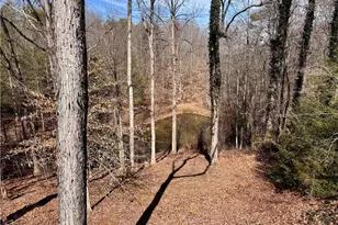 4681 Rockford Rd, Dobson, NC 27017 - Photo 33