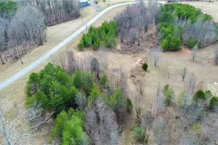 4681 Rockford Rd, Dobson, NC 27017 - Photo 43