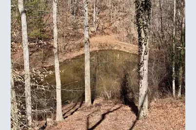 4681 Rockford Road, Dobson, NC 27017 - Photo 35