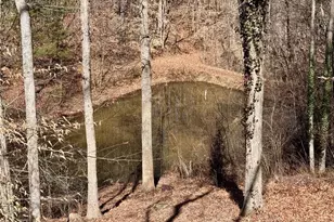 4681 Rockford Rd, Dobson, NC 27017 - Photo 35