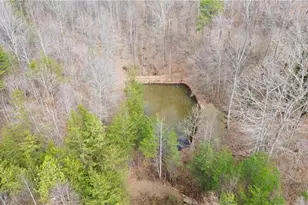 4681 Rockford Rd, Dobson, NC 27017 - Photo 39