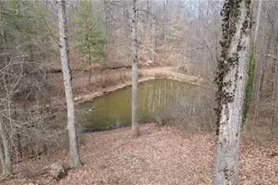 4681 Rockford Rd, Dobson, NC 27017 - Photo 37