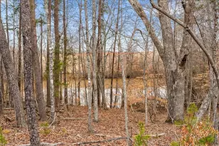 177 Ravensbourne Trail, Stokesdale, NC 27357 - Photo 37