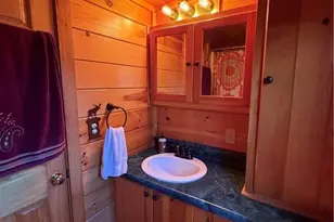 157 Wolf Trail, McGrady, NC 28670 - Photo 5