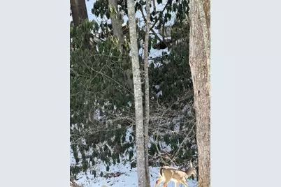 Lot 38 Sonterra Ridge, Lansing, NC 28642 - Photo 5