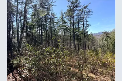 Tbd (Lot 18) Hidden Creek Road, Deep Gap, NC 28618 - Photo 9