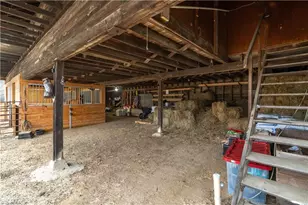 6507 Frieden Church Rd, Gibsonville, NC 27249 - Photo 7