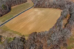 6507 Frieden Church Rd, Gibsonville, NC 27249 - Photo 41