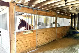 6507 Frieden Church Rd, Gibsonville, NC 27249 - Photo 3