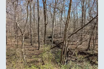 0000 Browers Chapel Road, Asheboro, NC 27203 - Photo 5