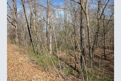 0 Browers Chapel Road, Asheboro, NC 27203 - Photo 1