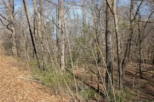 0 Browers Chapel Rd, Asheboro, NC 27203 - Photo 1