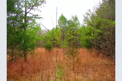 1809 Alamance Church Road, Greensboro, NC 27406 - Photo 5