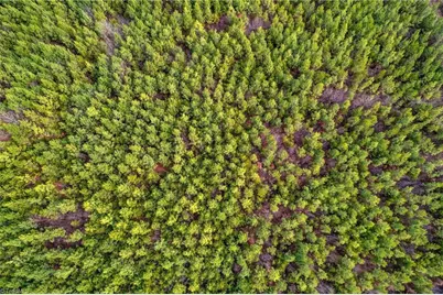 0 Lick Fork Creek Road, Reidsville, NC 27320 - Photo 7