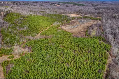 0 Lick Fork Creek Road, Reidsville, NC 27320 - Photo 29