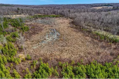 0 Lick Fork Creek Road, Reidsville, NC 27320 - Photo 21