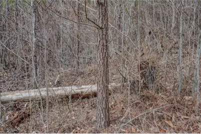 0 Lick Fork Creek Road, Reidsville, NC 27320 - Photo 31