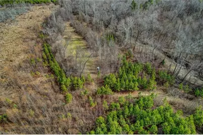 0 Lick Fork Creek Road, Reidsville, NC 27320 - Photo 11