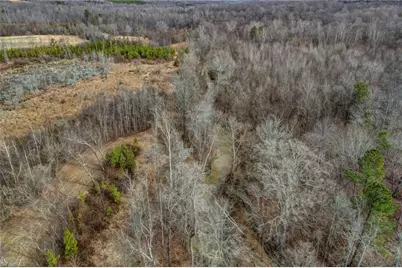 0 Lick Fork Creek Road, Reidsville, NC 27320 - Photo 27