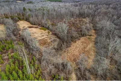 0 Lick Fork Creek Road, Reidsville, NC 27320 - Photo 23