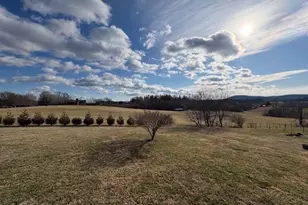 927 Shingle Gap Rd, Purlear, NC 28665 - Photo 9