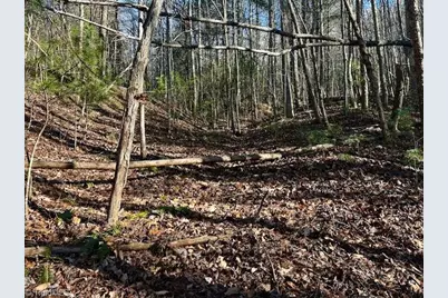 Tbd S Nc Highway 16, Moravian Falls, NC 28654 - Photo 13