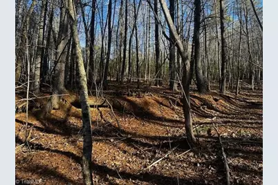 Tbd S Nc Highway 16, Moravian Falls, NC 28654 - Photo 11