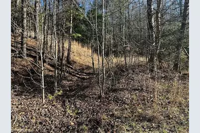 Tbd S Nc Highway 16, Moravian Falls, NC 28654 - Photo 3