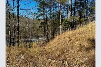 Tbd S Nc Highway 16, Moravian Falls, NC 28654 - Photo 7