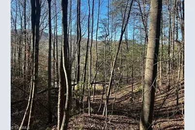 Tbd S Nc Highway 16, Moravian Falls, NC 28654 - Photo 5