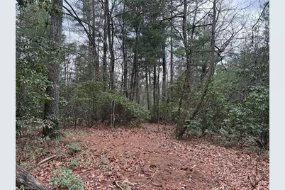 Lot 82 Deer Antler Drive, Purlear, NC 28665 - Photo 9