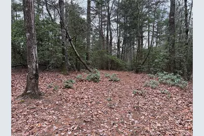 Lot 82 Deer Antler Drive, Purlear, NC 28665 - Photo 7