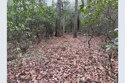 Lot 82 Deer Antler Drive, Purlear, NC 28665 - Photo 13