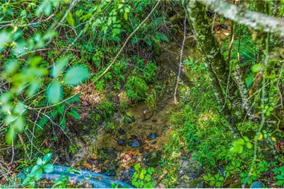 0 Mills Road, Mount Airy, NC 27030 - Photo 5