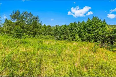 0 Mills Road, Mount Airy, NC 27030 - Photo 9