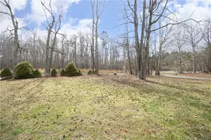 4421 Spoon Loop Rd, Liberty, NC 27298 - Photo 3