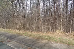 89 Lot Haynoke Dr, Graham, NC 27253 - Photo 1