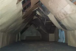 804 Orrell St, Eden, NC 27288 - Photo 11