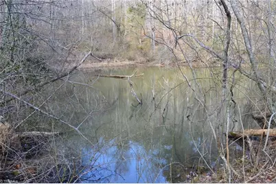 1096-1238 Cook School Road #97+/- AC Tract, Pilot Mountain, NC 27041 - Photo 35