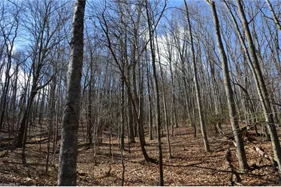 1096-1238 Cook School Road #97+/- AC Tract, Pilot Mountain, NC 27041 - Photo 41