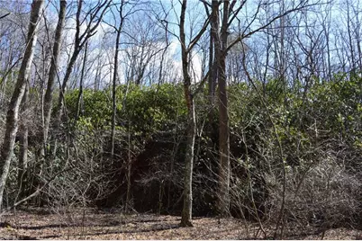 1096-1238 Cook School Road #97+/- AC Tract, Pilot Mountain, NC 27041 - Photo 31