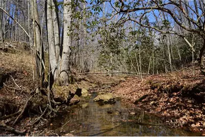 1096-1238 Cook School Road #97+/- AC Tract, Pilot Mountain, NC 27041 - Photo 27
