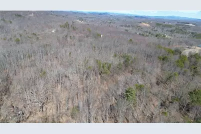 1096-1238 Cook School Road #97+/- AC Tract, Pilot Mountain, NC 27041 - Photo 11