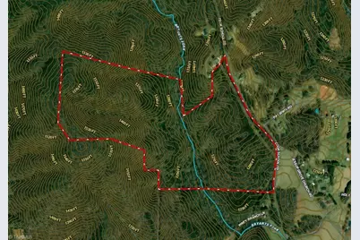 1096-1238 Cook School Road #97+/- AC Tract, Pilot Mountain, NC 27041 - Photo 3