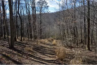 1096-1238 Cook School Road #97+/- AC Tract, Pilot Mountain, NC 27041 - Photo 47