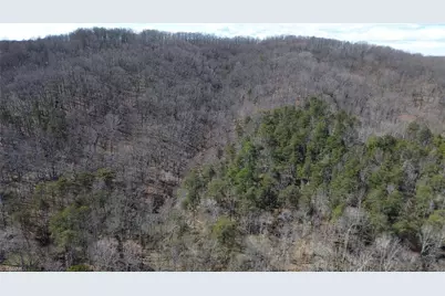 1096-1238 Cook School Road #97+/- AC Tract, Pilot Mountain, NC 27041 - Photo 7