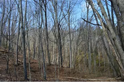 1096-1238 Cook School Road #97+/- AC Tract, Pilot Mountain, NC 27041 - Photo 37