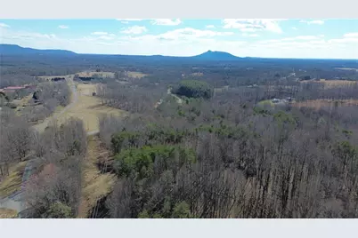 1096-1238 Cook School Road #97+/- AC Tract, Pilot Mountain, NC 27041 - Photo 13